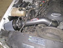 AEM 99-06 Chevy/GMC 5.3/6.0L Silver Brute Force Intake-3