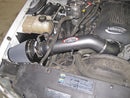 AEM 99-06 Chevy/GMC 5.3/6.0L Silver Brute Force Intake-4