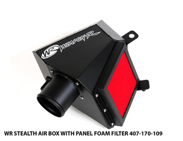 Weapon R 05-09 Ford Mustang GT 4.6L V8 (NSWP) Stealth Air Box - 0