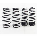 RS-R 09-13 Honda Fit (GE8) Down Sus Springs-1