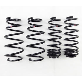RS-R 09-13 Honda Fit (GE8) Down Sus Springs