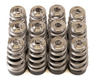 GSC P-D Toyota G16E Conical Valve Spring and Ti Retainer Kit-2