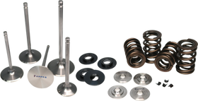 Ferrea Nissan GT-R VR38DETT Dual Spring Kit