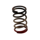 Turbosmart Gen-V WG40/45 HP 40 PSI Spring Upgrade - Black/Red-1