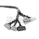 Rywire Honda B-Series OBD1 Tuck Budget Eng Harness w/OBD1 Dist/Inj/Alt/92-95 ECU Plugs (Adapter Req)-2