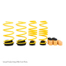 ST BMW M5 (F10) Sedan / M6 (F06) Gran Coupe Adjustable Lowering Springs-3