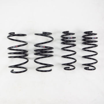 RS-R 2017-2022 Honda Civic Type R (FK8) Super Down Sus Springs - 0