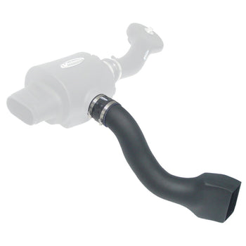 Scoops & Snorkels