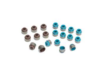 Valve Seals
