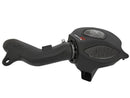 aFe Momentum GT Pro DRY S Cold Air Intake System 16-17 BMW M2 (F87) L6 3.0L (t) N55-1