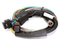 Haltech Elite 2500 Basic Universal Wire-In Harness ECU Kit-3