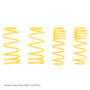 ST Muscle Car Springs Mercury Cougar (GT only)-1