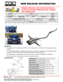 HKS Hi-Power Muffler SPEC-L2 FK8 K20C-1