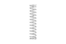 Eibach ERS 14.00 in. Length x 2.50 in. ID Coil-Over Spring-1