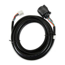 AEM Replacement Sensor Harness for Digital Wideband Gauge (30-4110)-4