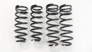 RS-R 01-06 Lexus LS430 (UCF30/31) Super Down Springs-2