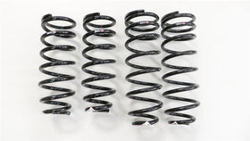 RS-R 01-06 Lexus LS430 (UCF30/31) Super Down Springs - 0