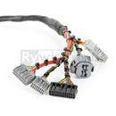 Rywire Honda B-Series Mil-Spec Eng Harness w/OBD2 Dist/Inj/Alt & OBD1 92-95 ECU Plugs (Adapter Req)-2