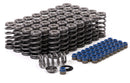 GSC P-D Audi R8 V10 / Lamborghini Huracan V10 5.2L Valve Spring & Ti Retainer Kit (w/Seats & Seals)-3