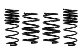 Eibach Pro-Kit for 11-12 Chrysler 300 2WD V6 (exc AWD)