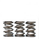 Skunk2 Tuner Series Honda/Acura (H22A/F20B) DOHC VTEC Alpha Valve Spring Set (Dual Springs)-3