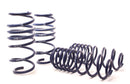 H&R 10-19 Ford Fiesta 1.6L/1.0L EcoBoost Sport Spring-2