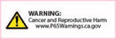 DeatschWerks 255 LPH In-Tank Fuel Pump w/ 05-10 Scion tc Set Up Kit-2