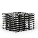 Skunk2 Alpha Series Honda D Series VTEC Valve Spring Set-1