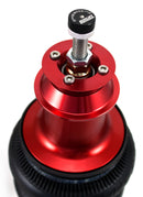 Air Lift Performance Rear Kit for 10-14 Chevrolet Camaro-6