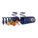 Ford Racing 15-22 Mustang Track Lowering Spring Kit-4
