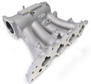 Skunk2 Pro Series 90-01 Honda/Acura B18A/B/B20 DOHC Intake Manifold w/o Gasket (CARB Exempt)-1