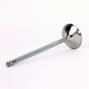 Skunk2 Alpha Series Honda/Acura Stock Size H Series Valve Set (Standard Compression)-5