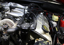 J&L 99-04 Ford Mustang SVT Cobra Driver Side Oil Separator 3.0 - Black Anodized-3