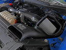 aFe 17-20 Ford F-150/Raptor Track Series Carbon Fiber Cold Air Intake System With Pro DRY S Filters-3