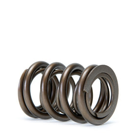 Skunk2 Tuner Series Honda/Acura (H22A/F20B) DOHC VTEC Alpha Valve Spring Set (Dual Springs) - 0