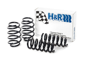 H&R 09-19 Ford Flex (2WD/AWD) Sport Spring - 0