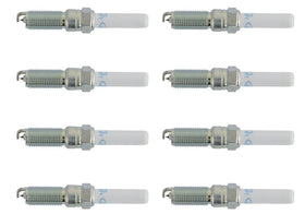 Ford Racing Performance 5.0L VDE Coyote Cold Spark Plug Set - 0