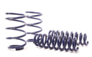 H&amp;R 13-15 BMW X1 sDrive28i E84 Sport Spring (2WD Only)-1