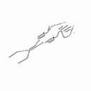 MagnaFlow Sys Cat-Back 68-72 GM A-Body Chevelle et-18