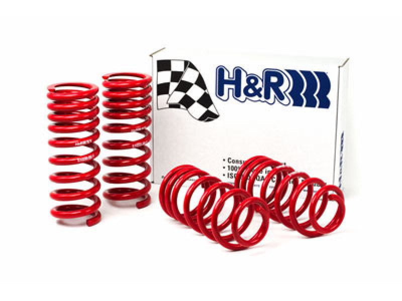 H&R 94-95 Ford Mustang/Mustang Cobra V8 Race Spring - 0