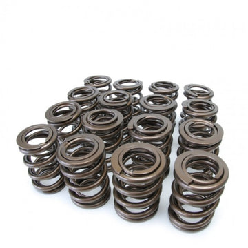 Skunk2 Tuner Series Honda/Acura (B16A/ B17A/ B18C) DOHC VTEC Alpha Valve Spring Set (Dual Springs) - 0