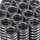 Skunk2 Alpha Series Honda D Series VTEC Valve Spring Set-3
