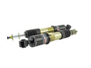 Skunk2 14-15 Honda Civic Pro ST Coilovers-3