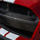 Ford Racing 20-21 Mustang GT500 Carbon Fiber Bumper Insert-2