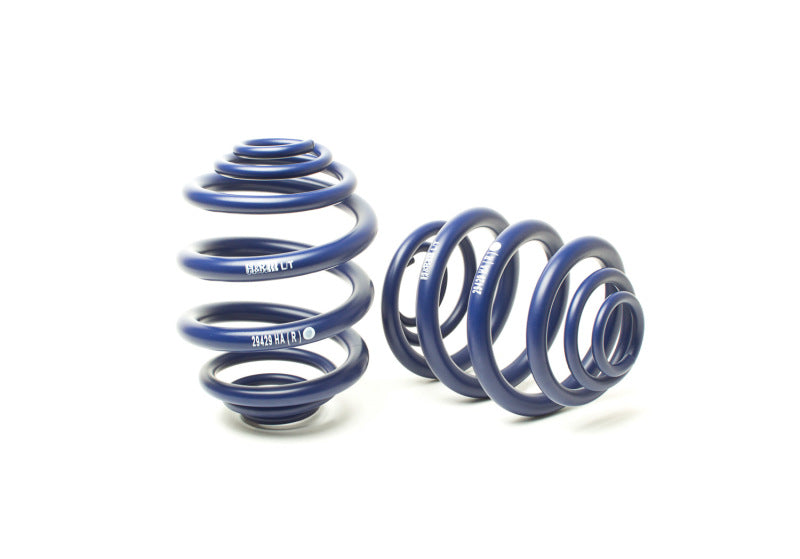 H&R 94-03 Volkswagen Eurovan T4 Sport Spring - 0