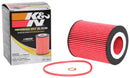K&N Oil Filter OIL FILTER AUTOMOTIVE-7