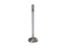Manley Ford 4.6L DOHC (4 Valve) Triple Groove 30mm Race Master Exhaust Valves-3