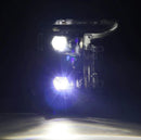 AlphaRex 21-22 Ford F150 Luxx-Series Projector Headlights Alpha-Black w/Activ Light/Seq Signal-4