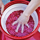 Chemical Guys Cyclone Dirt Trap Car Wash Bucket Insert - Red-4