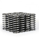 Skunk2 Alpha Series Honda D Series VTEC Valve Spring Set-4